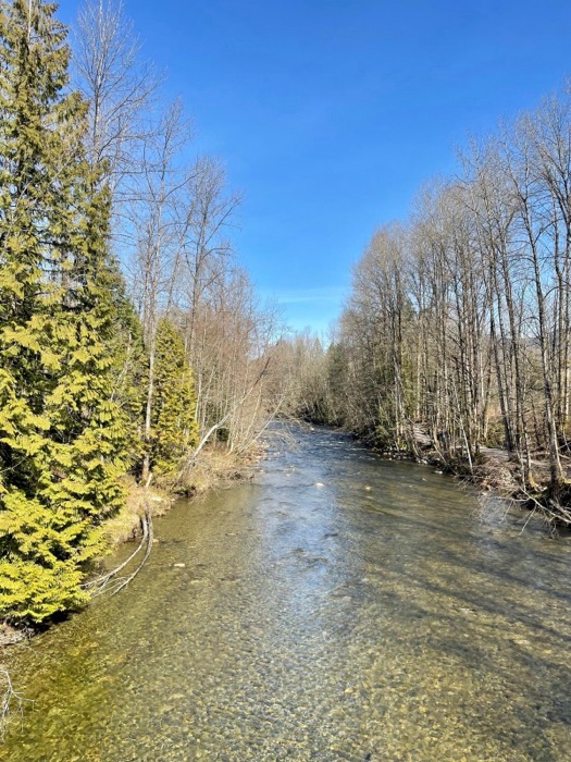 A clear river running through the forest near Vancouver, Canada