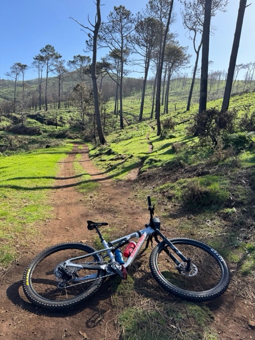 Mountain bike resting on a trail in Calheta, Madeira