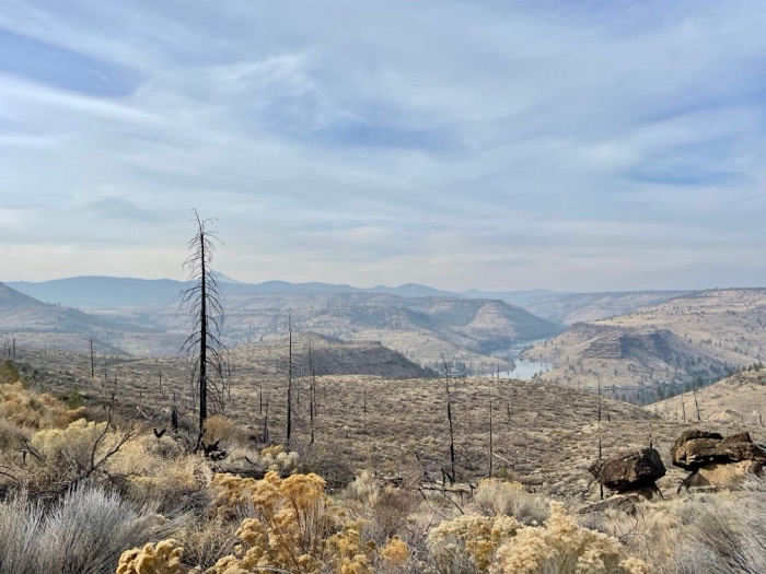 Canyon and river vista overlooking the Deschutes National Forest, OR